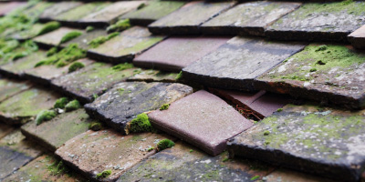 Llandyfaelog roof repair costs